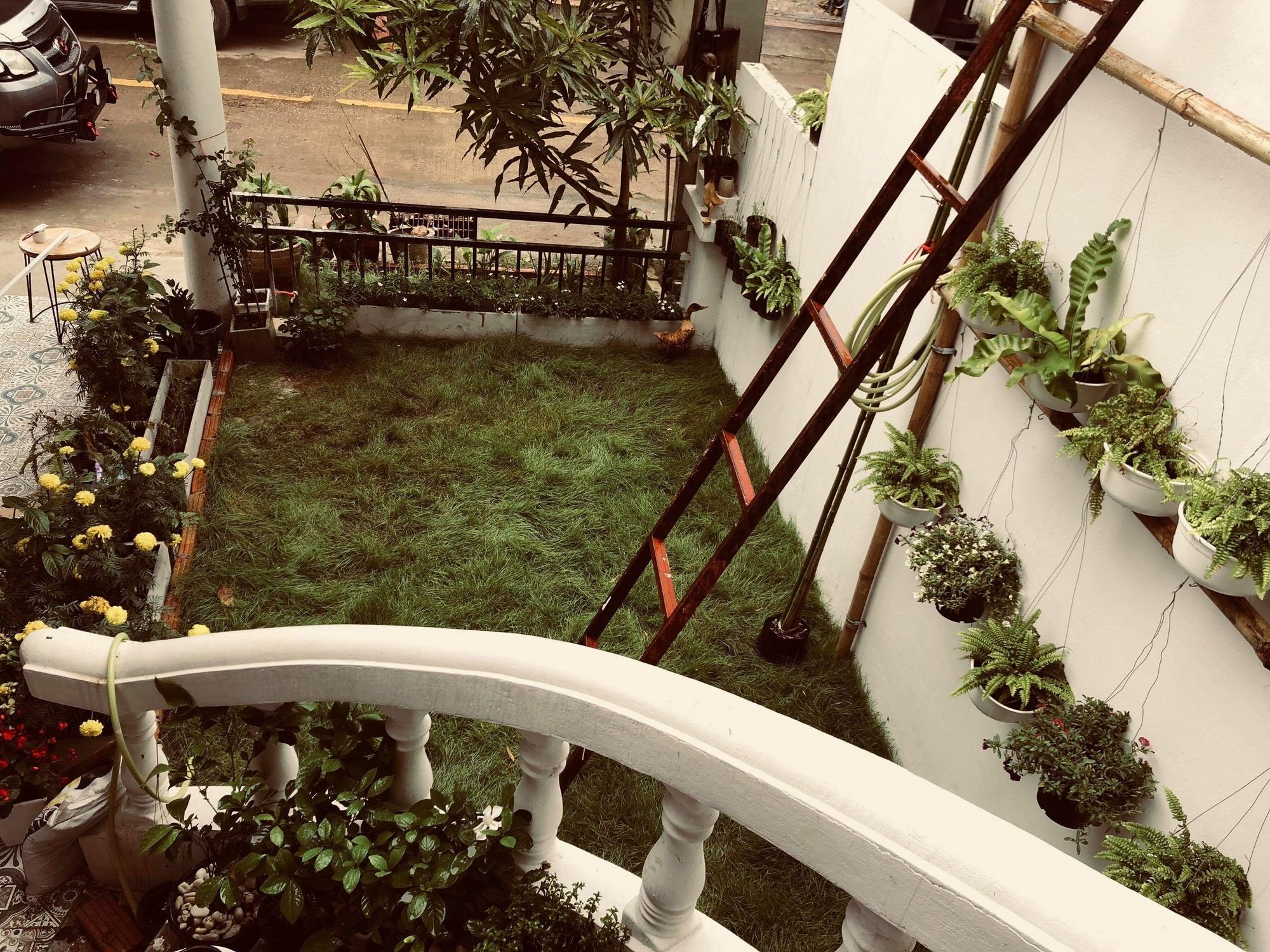 Ikkyu Nimman Chiang Mai Bed & Breakfast Eksteriør bilde